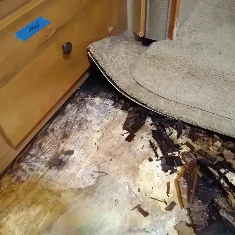 Wood Floor Water Damage in Ladson, SC